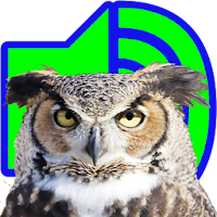 Great Horned Owl Sounds