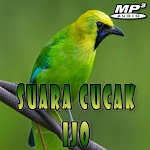 Cover Image of Скачать Suara Burung Cucak Ijo Gacor 1.0.2 APK