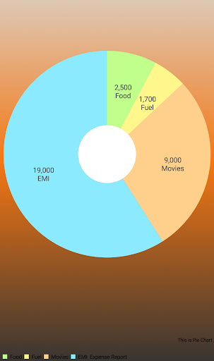 Budget Diary Screen 3