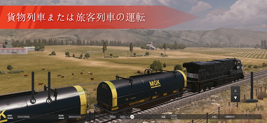 Train Simulator PRO USA