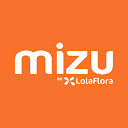 Mizu - Gift &amp; Flower Delivery