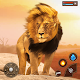 Lion Family Survival Games