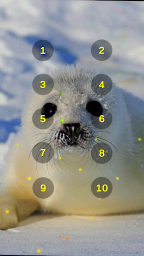 Android application Seal And Sea Lion Sounds screenshort