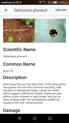 Android application Pest ID screenshort