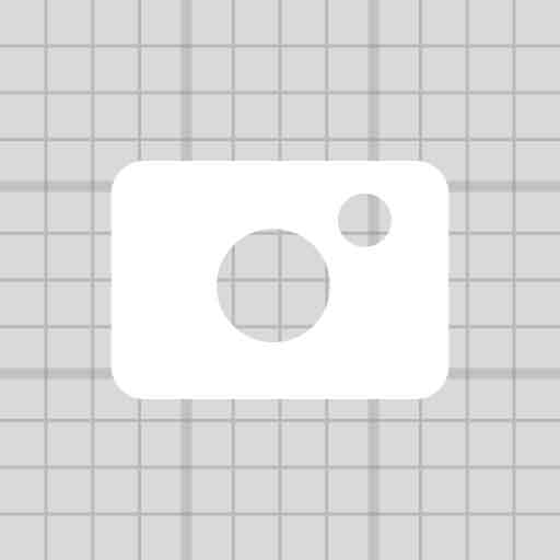 Grid Camera logo