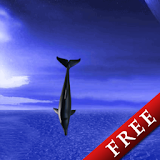 Dolphin Fly Trial icon