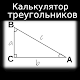 Калькулятор прямоугольного треугольника Скачать для Windows
