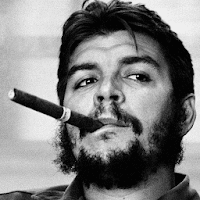 Ernesto Che Guevara Photos and Q