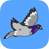 Pudgy Pigeons icon