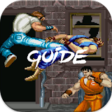 NEW Guide for Final Fight 2017 icon