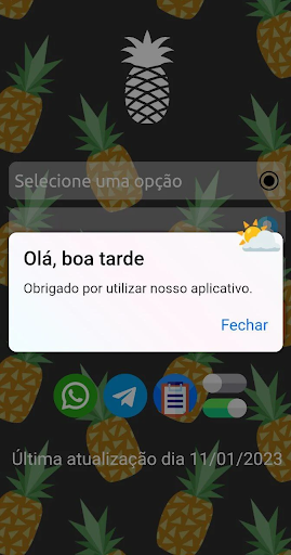 Abacaxi Net VIP Screen 2