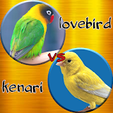 Lovebird Ngekek vs Kenari Gacor icon
