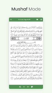 Al Quran (Tafsir & by Word) 3