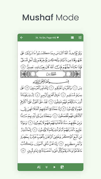 Captura de Pantalla 5 Quran (Tafsir y por palabra) android
