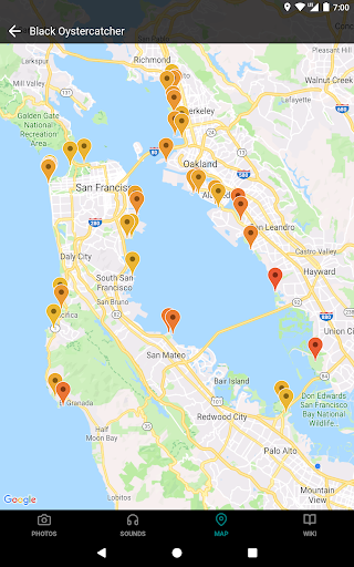 Screenshot of GoBird - Guide to Nearby Birds