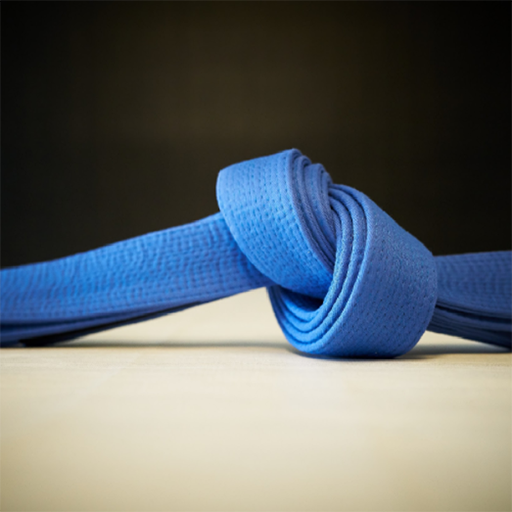 BJJ Blue Belt Requirements 2.0 logo