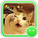 Stickey Super Cute Cat icon