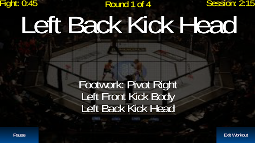 UFC Heavy Bag / Shadow Boxing Screen 3