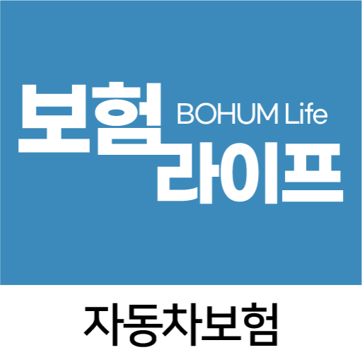 다이렉트 자동차보험 경력인정 20대 보험료 계산 kb logo