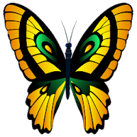 Butterflies Stickers - WAStickerApps