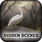 Hidden Scenes - April Showers icon