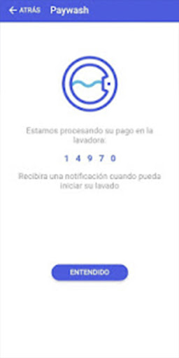 Paywash Plus Screen 3
