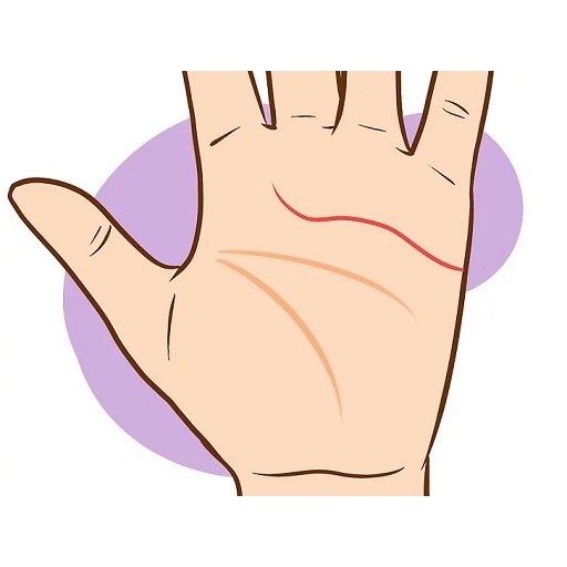 Palmistry. Reading the lines o