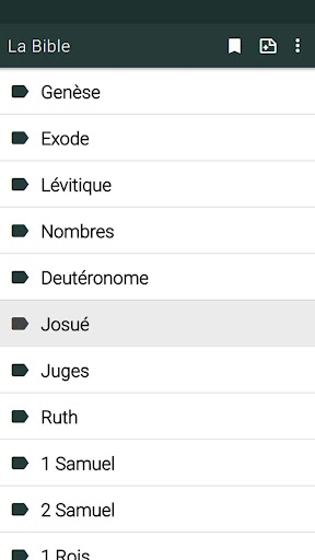 La Bible LSG en français Screen 2