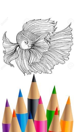 Buku Mewarnai Ikan Cupang