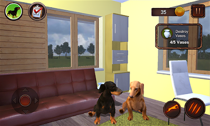 Dachshund Dog Simulator