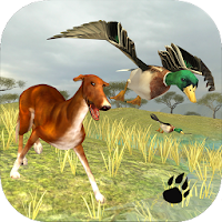 Bird Dog Simulator