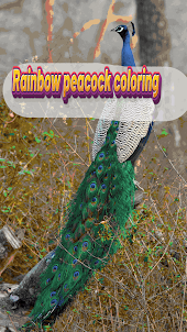 Colorindo o pavão do arco-íris