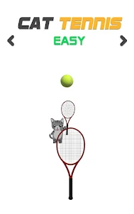 Cat Tennis Ball