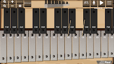 Marimba, Xylophone, Vibraphoneのおすすめ画像2