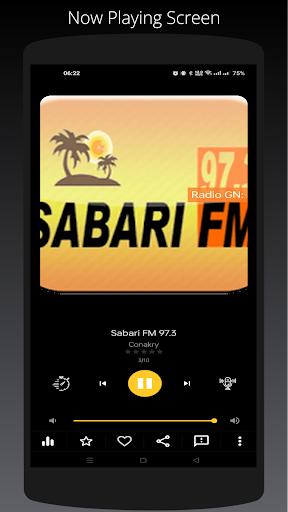 Android application Radio GN: All Guinea Stations screenshort