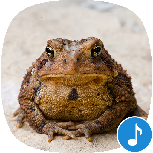 Toad Sounds logo