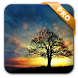 Sunset Hill Pro Live Wallpaper - Androidアプリ