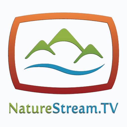 NatureStream.TV Ambient Nature logo