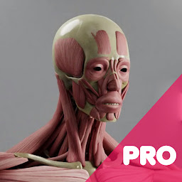 Slika ikone Human Anatomy VR/AR/MR Guide