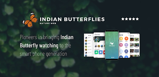 Indian Butterflies