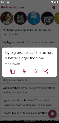 Brother Quotes and Sayings Screen 2