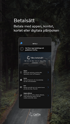 CarPay Screen 3