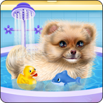 Cover Image of Download Pomeranian Puppy Day Care  APK