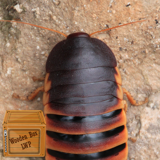 moving cockroach wallpaper logo