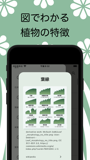 野草図鑑 -山菜・毒草・確認しよう- Screen 3