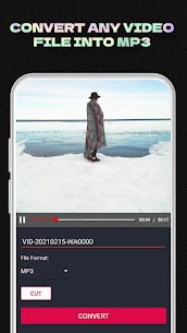 Music Player – MP4, MP3 Player 5
