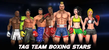 Tag Team Boxing Game 5.2 poster 10