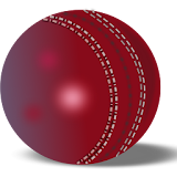 Cricket Livescore Widget icon