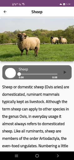 Animal sounds in nature