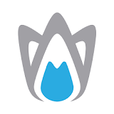 FELG Dent - Manage your Dental icon